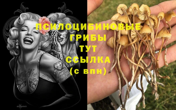 наркотики Абаза