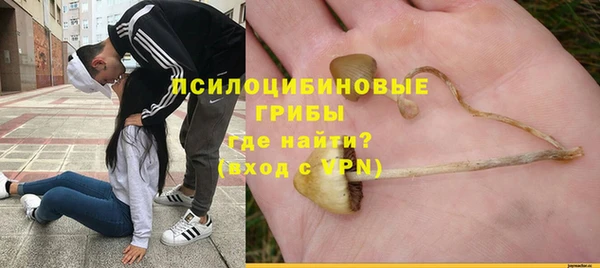 эйфоретик Алексин